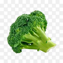 放倒的西兰花-空若网 放倒的西兰花-空若网