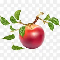 红色苹果-空若网 红色苹果-空若网