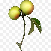 ƻ��-������