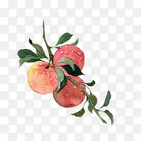 手绘水彩苹果-空若网 手绘水彩苹果-空若网