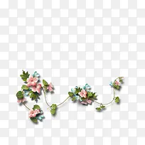 ֲ�ﻨ���ز�Ψ�����ܱ߿�ͼƬ-������