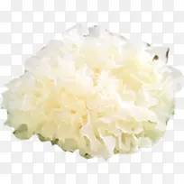 高清白色银耳食物-空若网 高清白色银耳食物-空若网