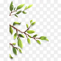 立体手绘树叶植物树枝效果-空若网 立体手绘树叶植物树枝效果-空若网