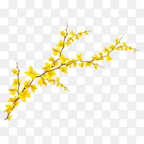 Y����֦-������