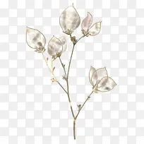 ��ɫ�����ز�-������