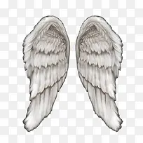 天使翅膀-空若网 天使翅膀-空若网