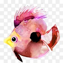 鱼-空若网 鱼-空若网