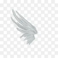 白色的天使翅膀-空若网 白色的天使翅膀-空若网