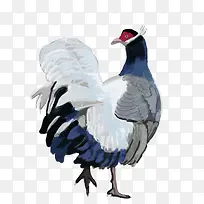 ������ �ֻ�廭-������