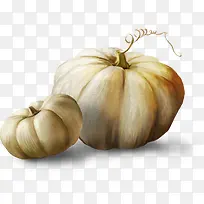 白色南瓜-空若网 白色南瓜-空若网