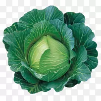 卷心菜叶蔬菜春绿卷心菜-空若网 卷心菜叶蔬菜春绿卷心菜-空若网