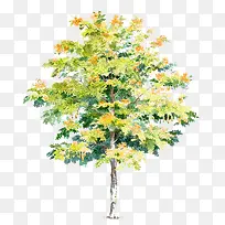 �廭����-������