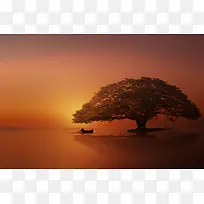 Ψ��������ɫ����-������