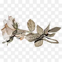 枯叶免抠图片-空若网 枯叶免抠图片-空若网