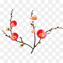 红色花卉-空若网 红色花卉-空若网