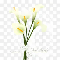 ��������Ƭ�����ز�-������