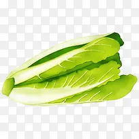 大白菜蔬菜素材-空若网 大白菜蔬菜素材-空若网