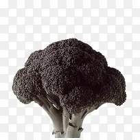 创意菜花-空若网 创意菜花-空若网