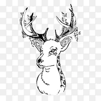 手绘梅花鹿-空若网 手绘梅花鹿-空若网