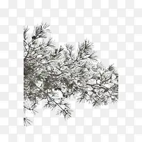 ѩѹ����-������