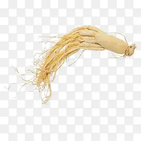 ҩ��ʳ��һ����ɫ�˲�-������