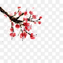 ��ɫ��-������