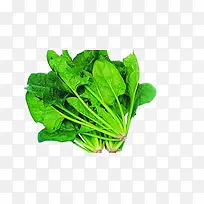 绿色蔬菜-空若网 绿色蔬菜-空若网