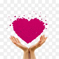 ���������ز�-������