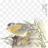 ˮ���й������̲�ɽʯ-������