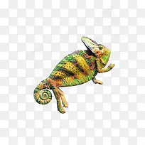 彩色变色龙-空若网 彩色变色龙-空若网