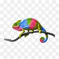 ²ÊÉ«±äÉ«Áú-¿ÕÈôÍø ²ÊÉ«±äÉ«Áú-¿ÕÈôÍø