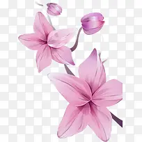 手绘花纹-空若网 手绘花纹-空若网