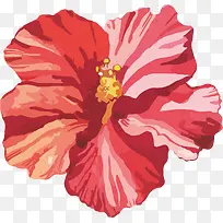 ˮ�ʻ���-������