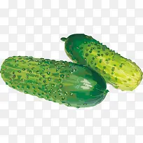 �ƹ�PNGʸ���ز�-������