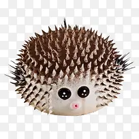可爱刺猬-空若网 可爱刺猬-空若网