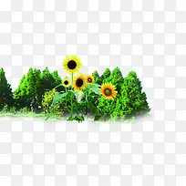 �������տ�����-������