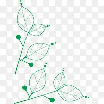 ��ɫ��Ҷ����-������