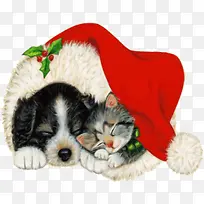 ʥ������-������