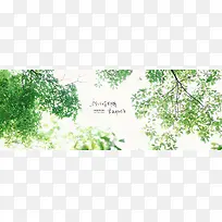 绿叶banner设计-空若网 绿叶banner设计-空若网