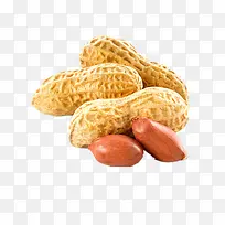 花生-空若网 花生-空若网