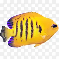 ��Ӱ��Ч�����׺���-������