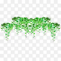 摄影海洋树藤效果摄影图-空若网 摄影海洋树藤效果摄影图-空若网