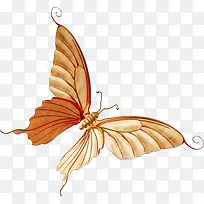 蝴蝶工艺品-空若网 蝴蝶工艺品-空若网