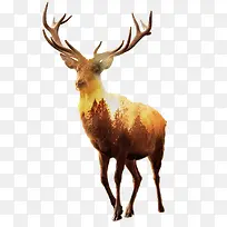 简约黄昏羚羊插画-空若网 简约黄昏羚羊插画-空若网