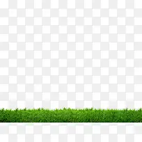 草地-空若网 草地-空若网