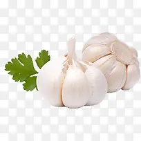 蒜头酱料蔬菜图片-空若网 蒜头酱料蔬菜图片-空若网