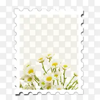 СÇåб߿ò-¿ÕÈôÍø СÇåб߿ò-¿ÕÈôÍø