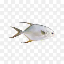 ���㱳��ͼƬ-������