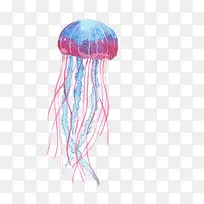 彩色的水母-空若网 彩色的水母-空若网
