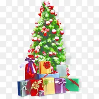 ����ʥ����ѩ��ֲ��-������